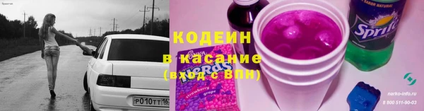шишки Вяземский