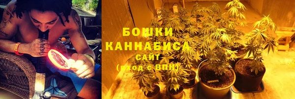 шишки Вяземский