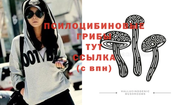 синтетический гашиш Вязьма